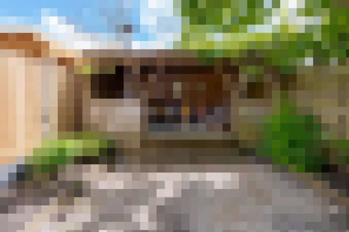Hanekamp 65 Zwolle thumbnail 28