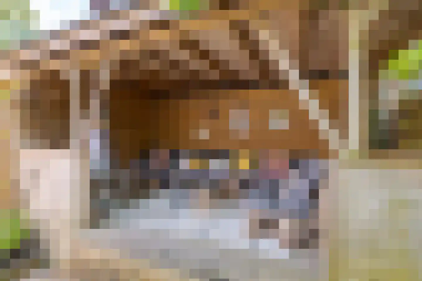 Hanekamp 65 Zwolle thumbnail 29