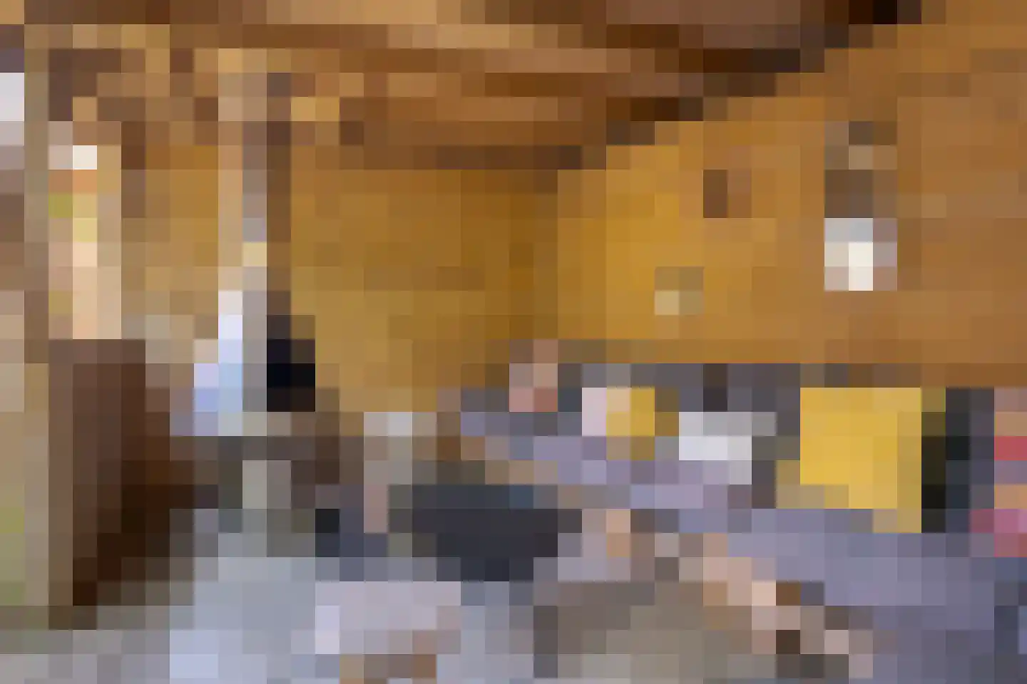 Hanekamp 65 Zwolle thumbnail 30