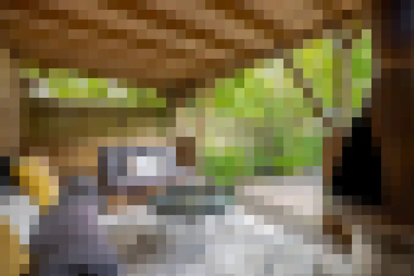 Hanekamp 65 Zwolle thumbnail 31