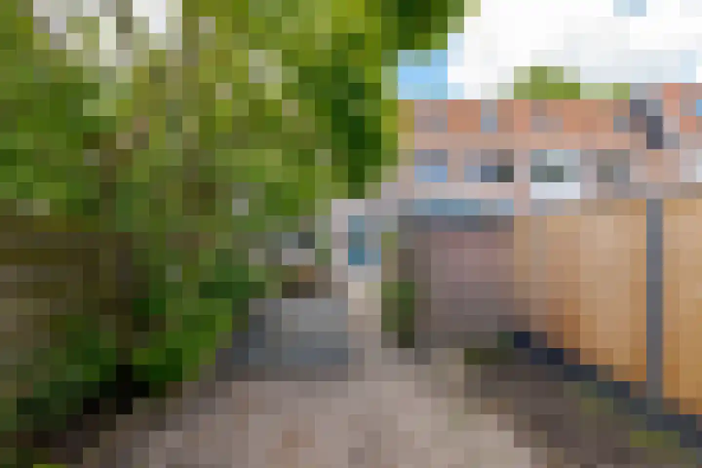 Hanekamp 65 Zwolle thumbnail 32