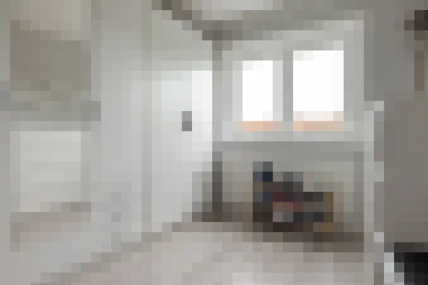 Hanekamp 65 Zwolle thumbnail 34