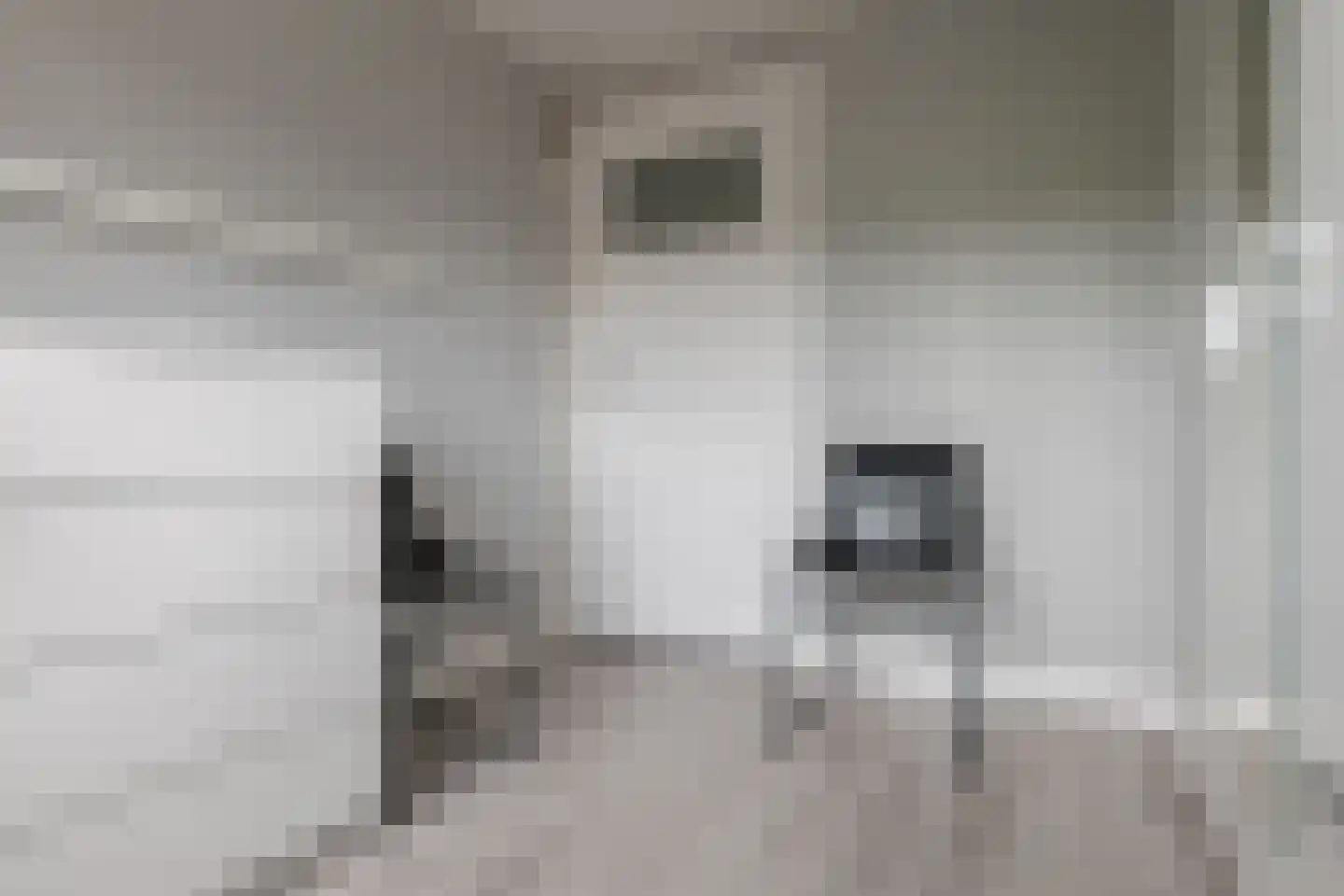Hanekamp 65 Zwolle thumbnail 35