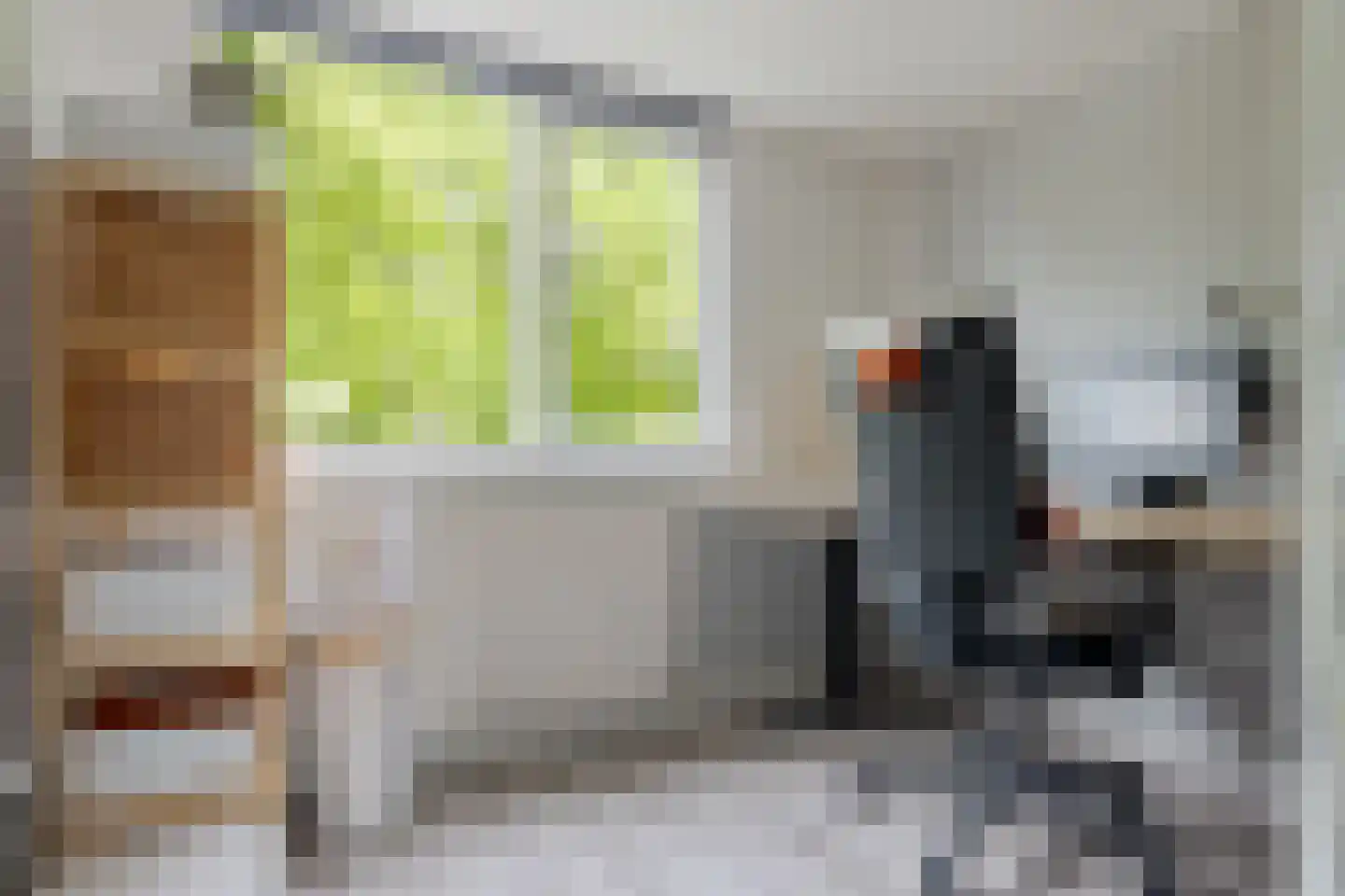 Hanekamp 65 Zwolle thumbnail 37