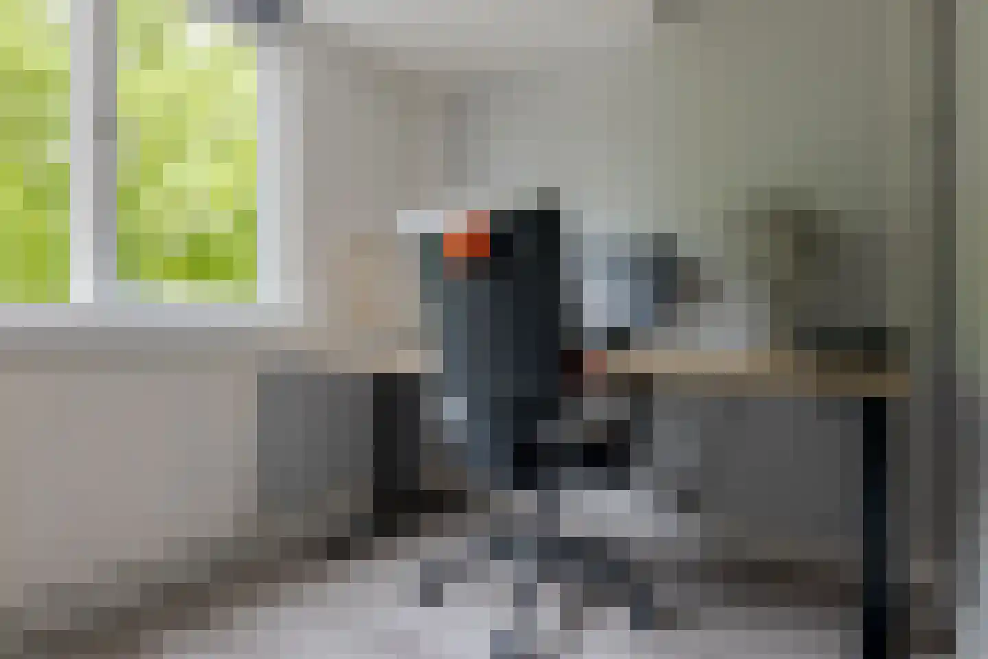 Hanekamp 65 Zwolle thumbnail 38