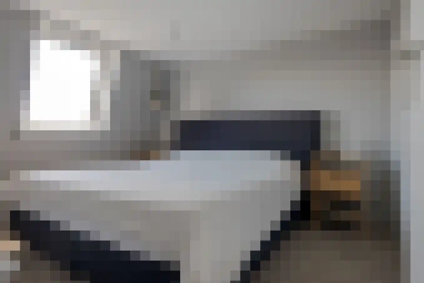 Hanekamp 65 Zwolle thumbnail 49