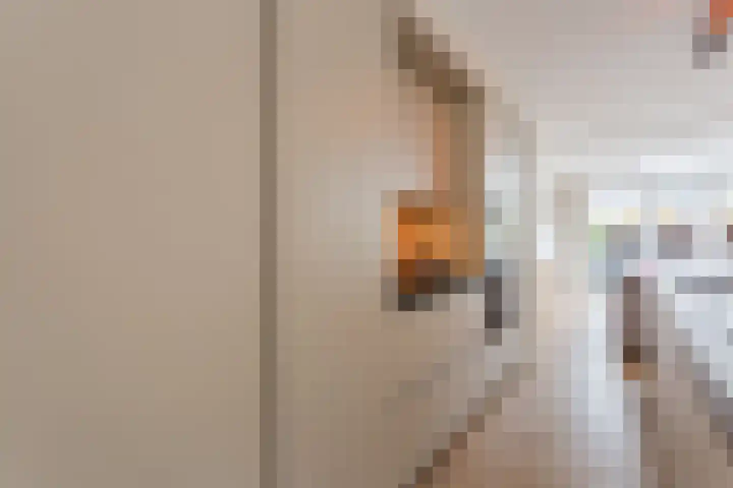 Hanekamp 9 Harderwijk thumbnail 12