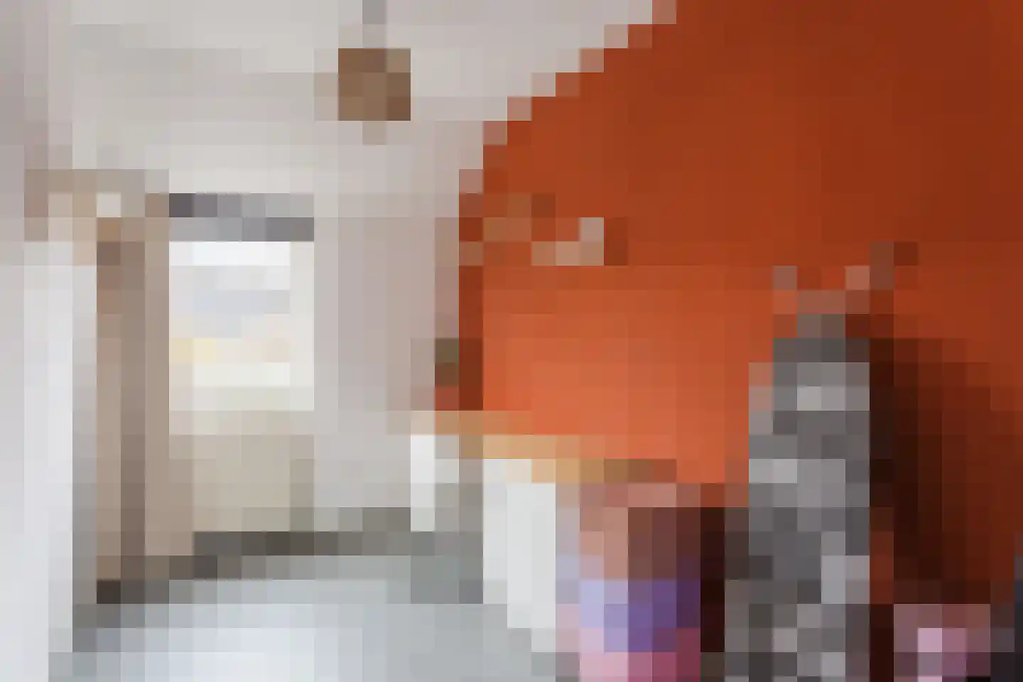 Hanekamp 9 Harderwijk thumbnail 25