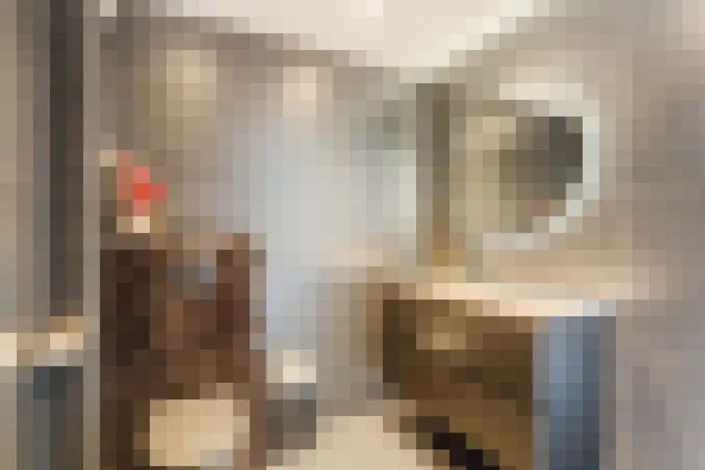 Hanekamp 9 Harderwijk thumbnail 28