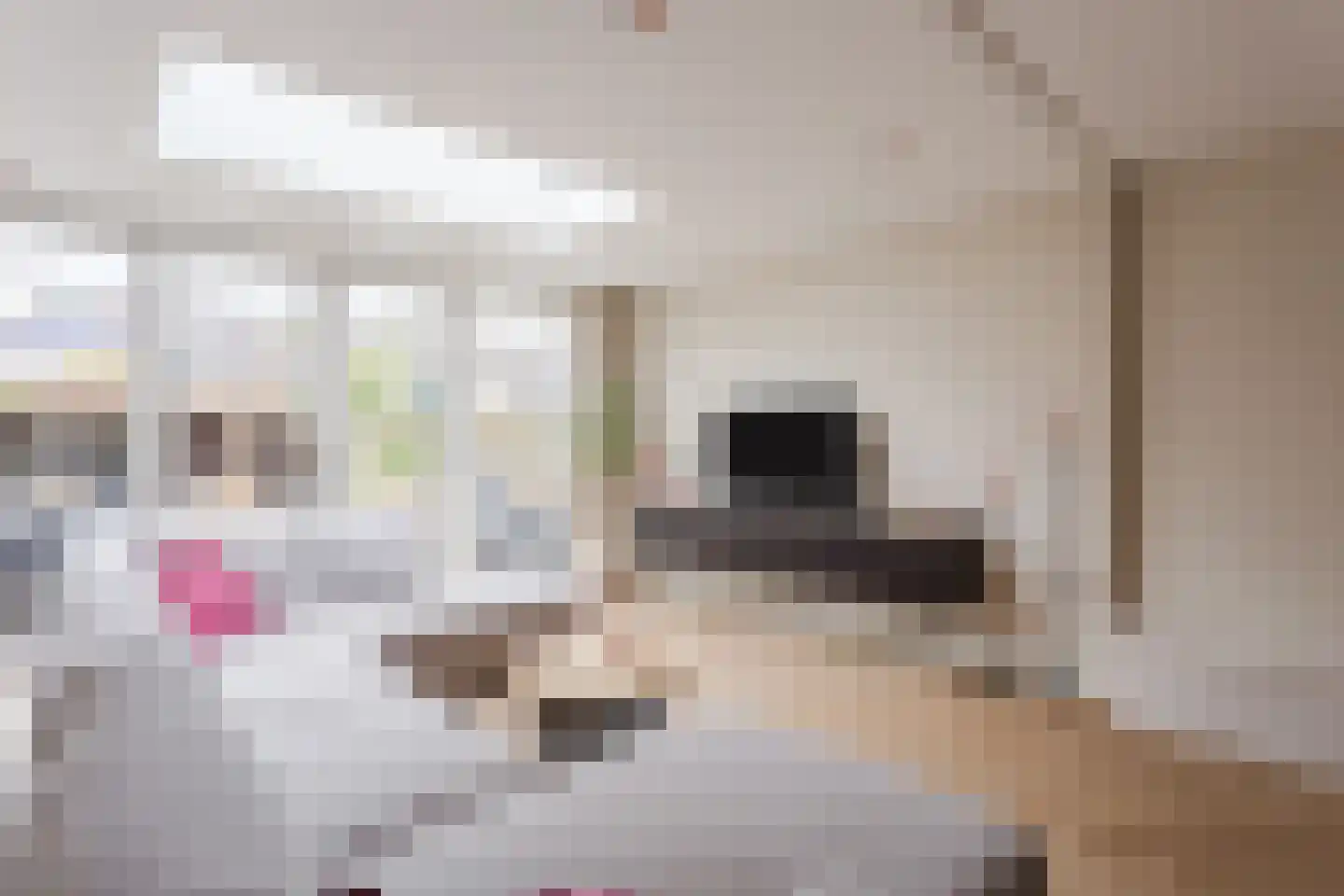 Hanekamp 9 Harderwijk thumbnail 4