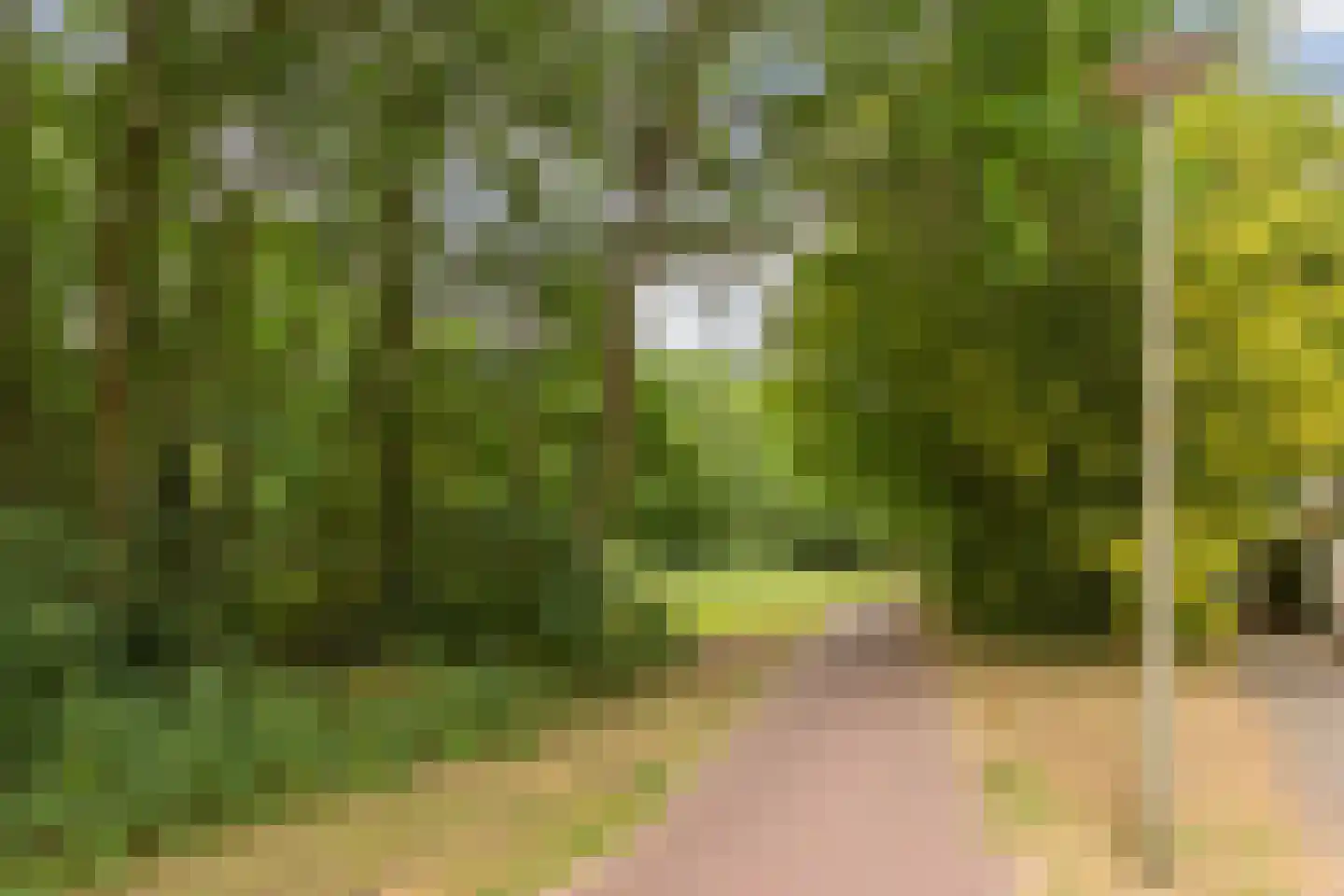 Hanekamp 9 Harderwijk thumbnail 47