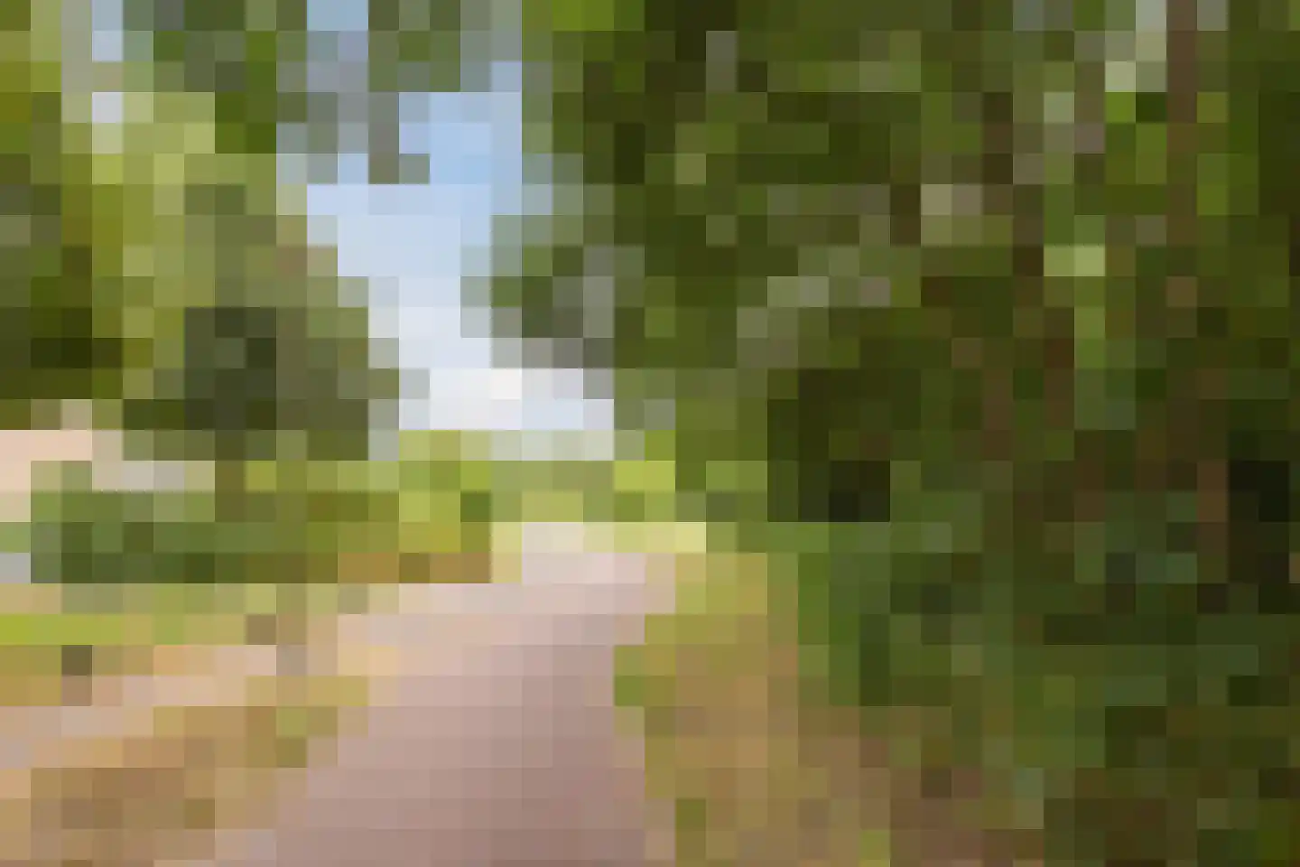 Hanekamp 9 Harderwijk thumbnail 48