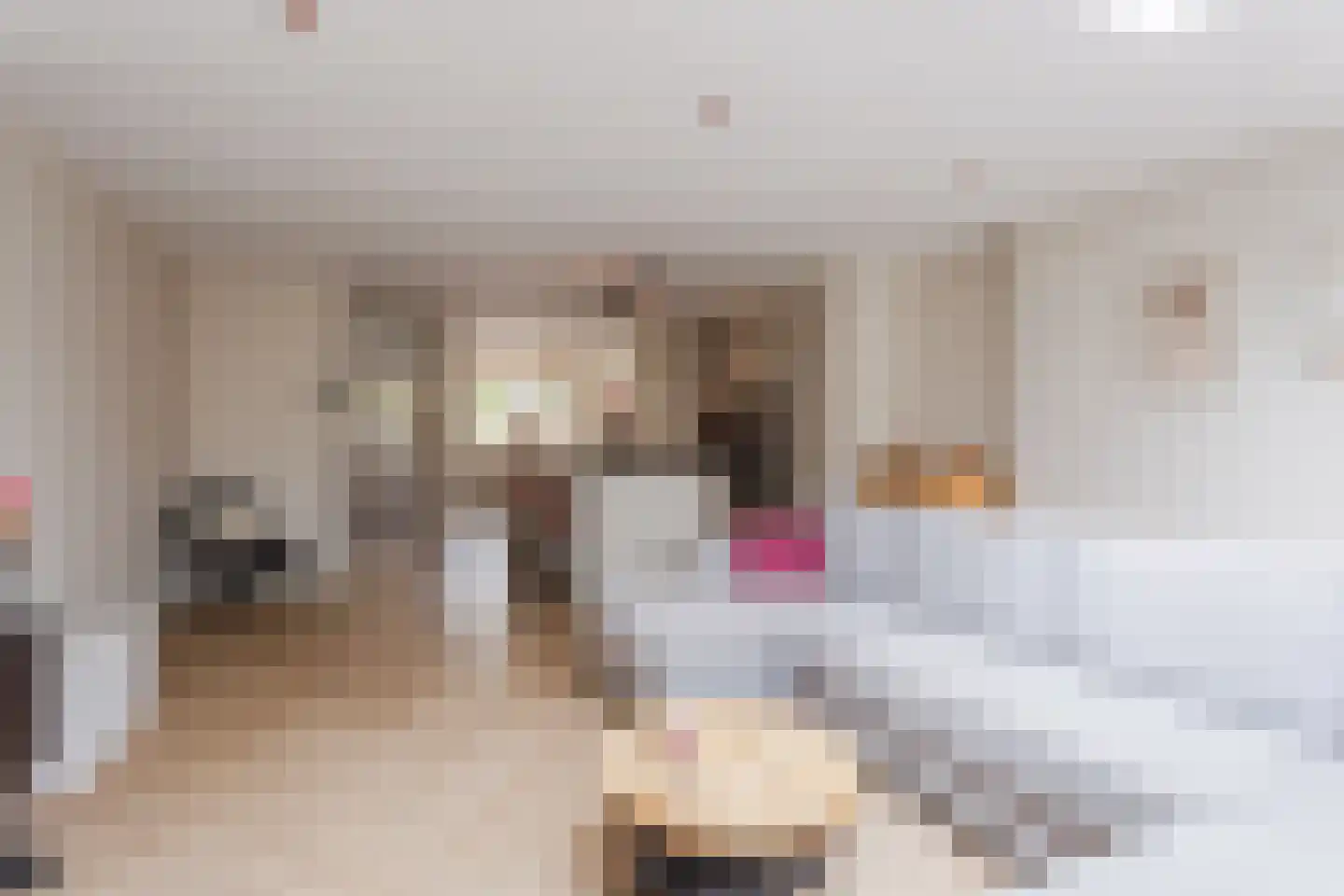 Hanekamp 9 Harderwijk thumbnail 5