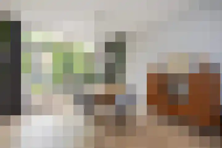 Hanekamp 9 Zwolle thumbnail 11