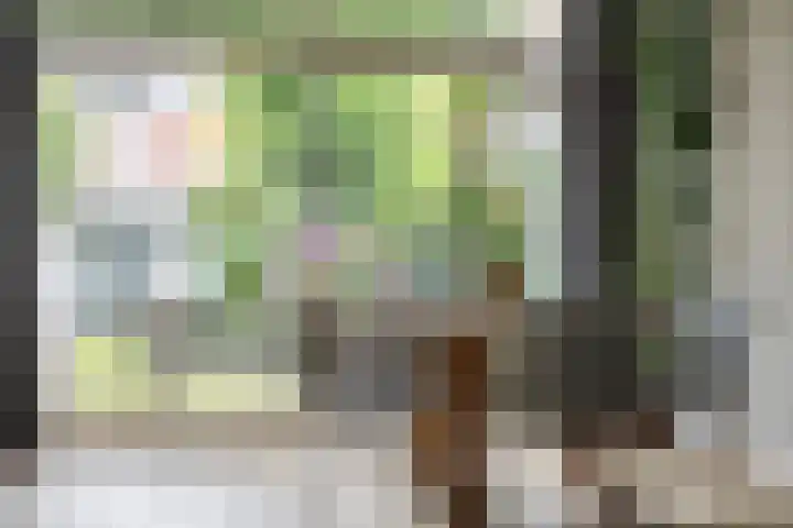 Hanekamp 9 Zwolle thumbnail 14