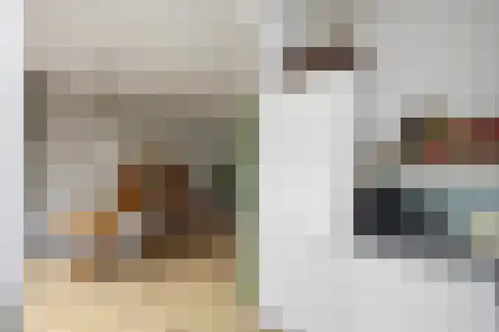 Hanekamp 9 Zwolle thumbnail 17
