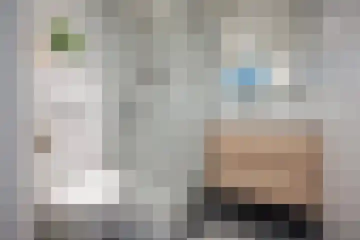 Hanekamp 9 Zwolle thumbnail 19