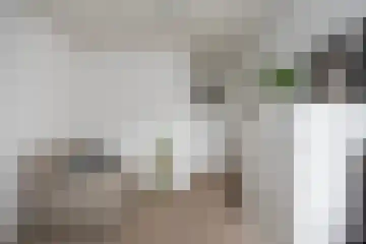 Hanekamp 9 Zwolle thumbnail 22