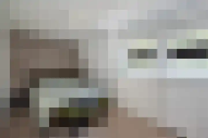 Hanekamp 9 Zwolle thumbnail 25