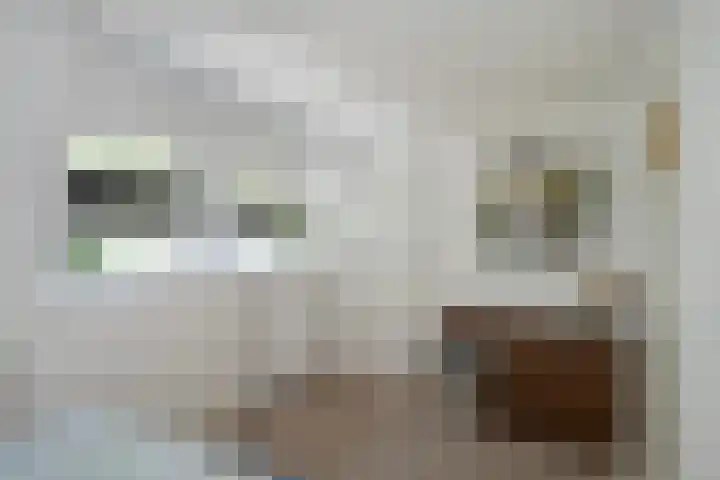 Hanekamp 9 Zwolle thumbnail 26
