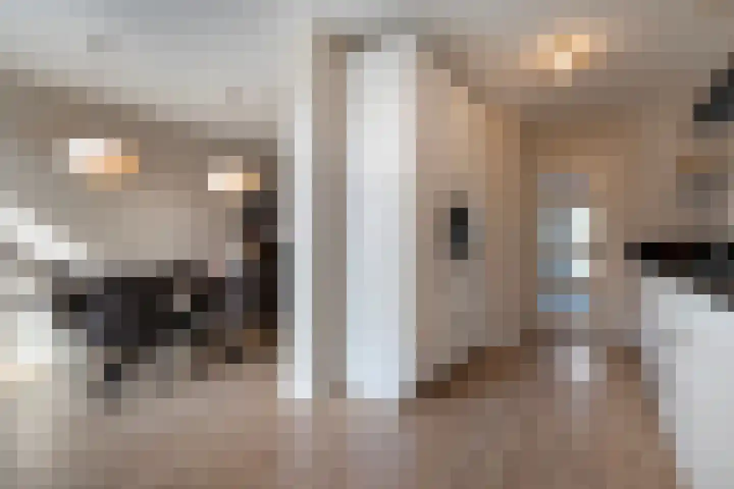 Hanekamp 91 Zwolle thumbnail 10