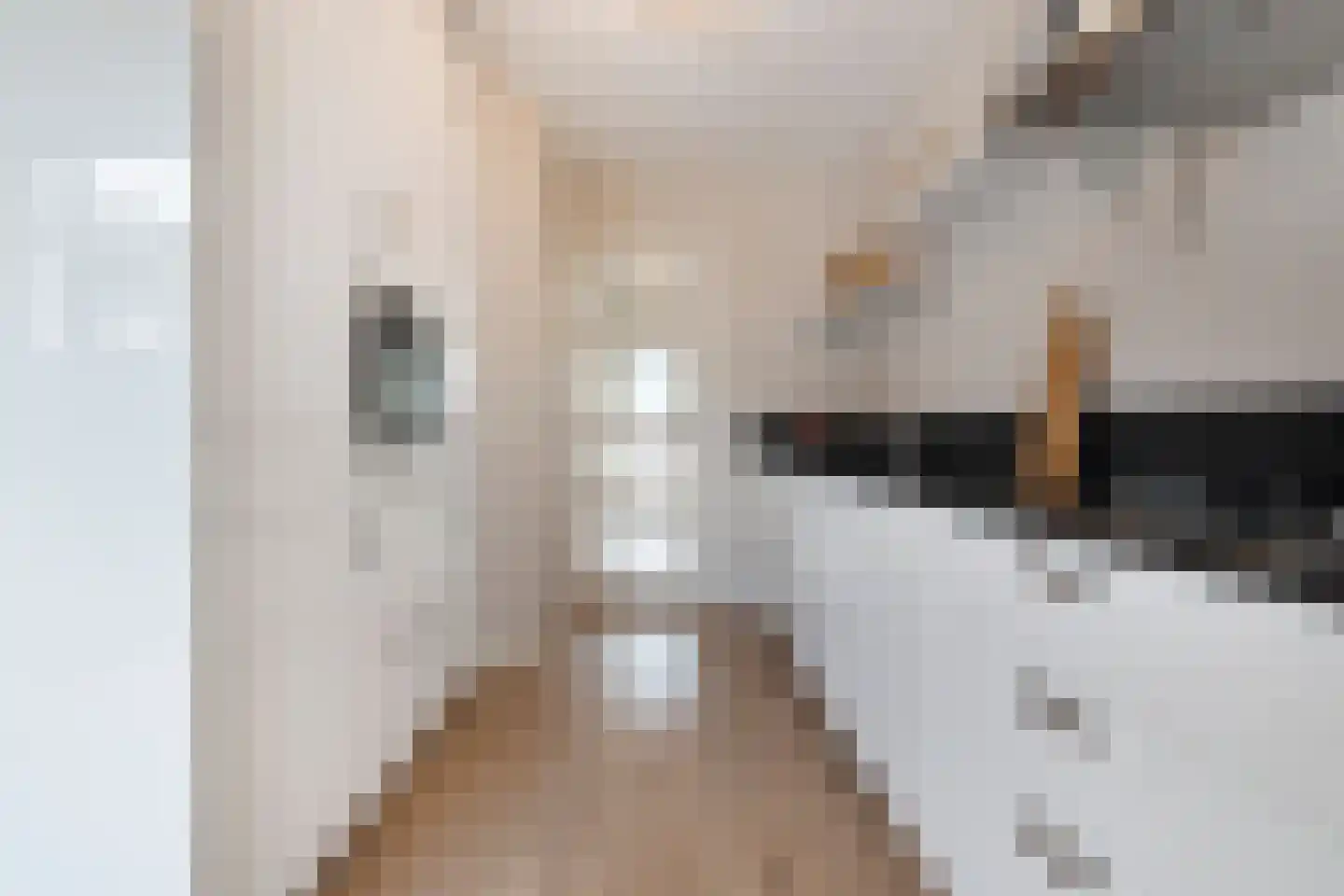 Hanekamp 91 Zwolle thumbnail 12