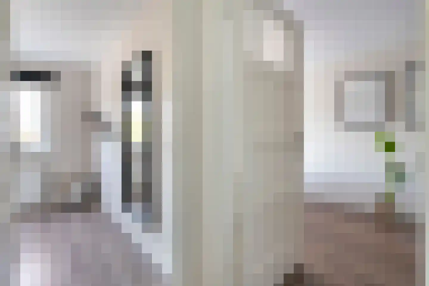 Hanekamp 91 Zwolle thumbnail 18