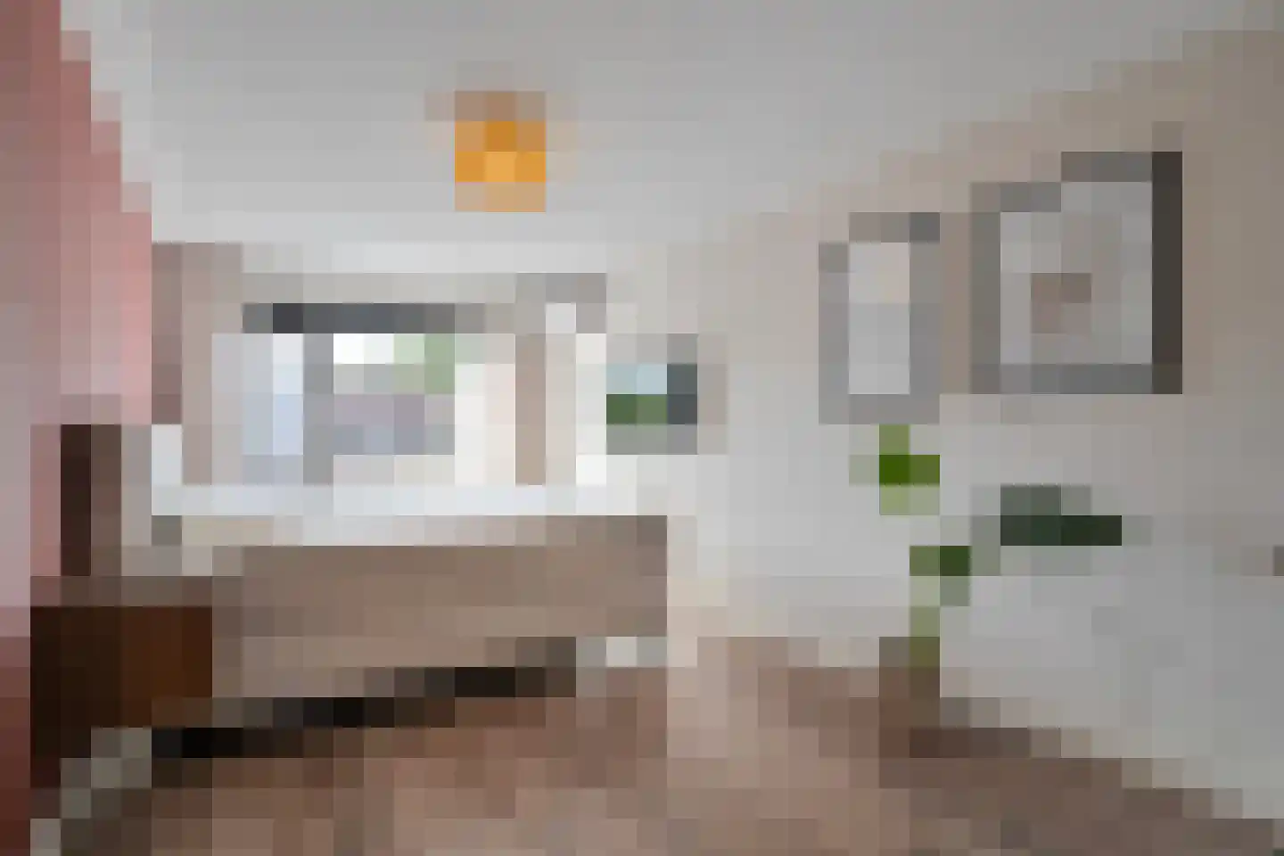Hanekamp 91 Zwolle thumbnail 19