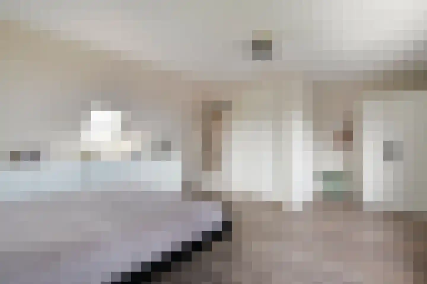 Hanekamp 91 Zwolle thumbnail 28