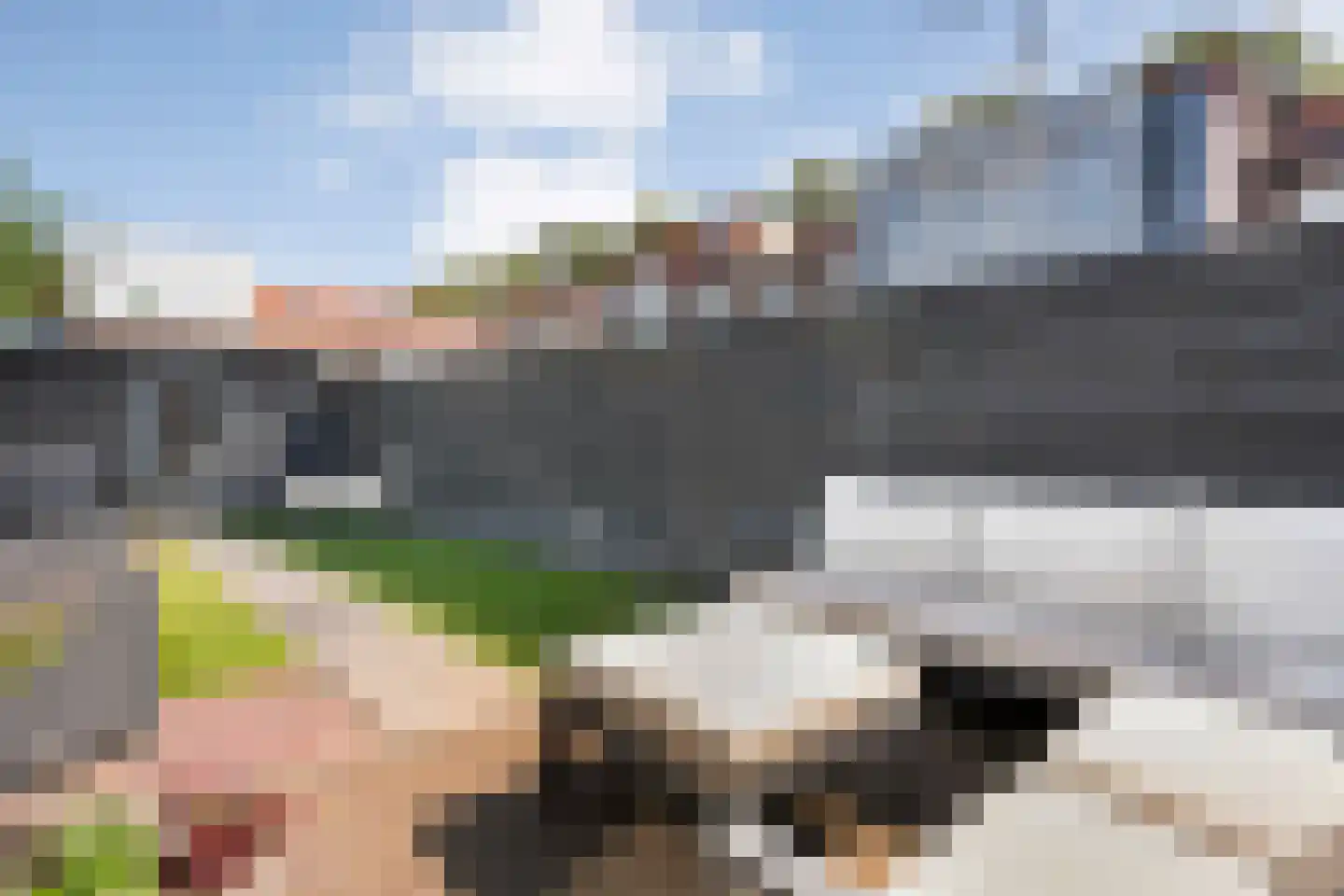 Hanekamp 91 Zwolle thumbnail 30