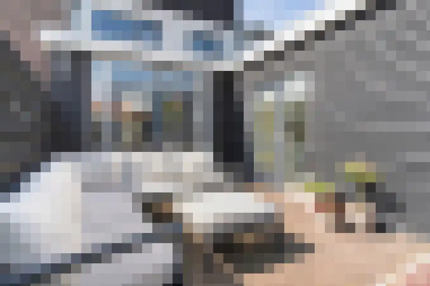 Hanekamp 91 Zwolle thumbnail 31