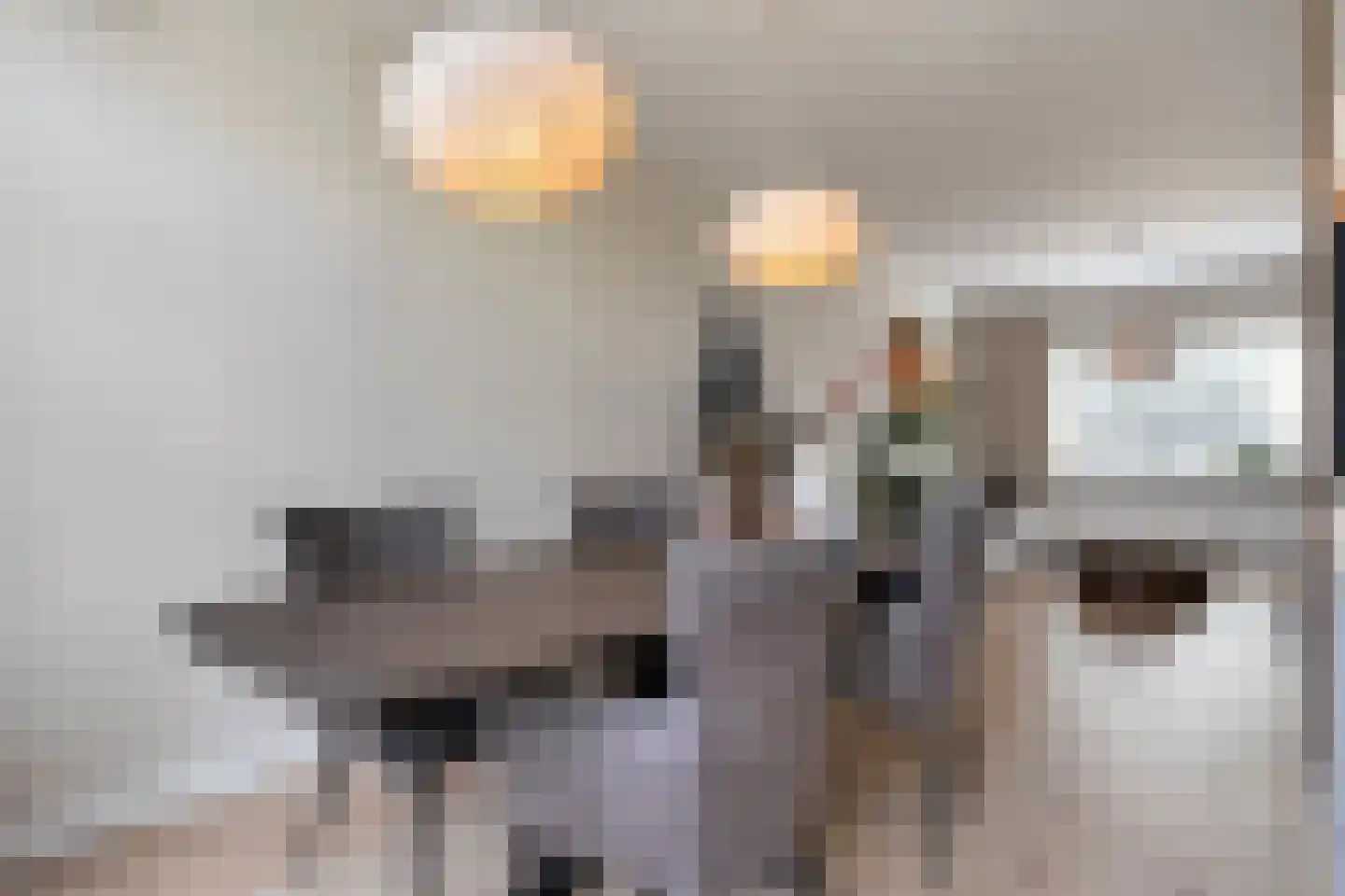 Hanekamp 91 Zwolle thumbnail 7