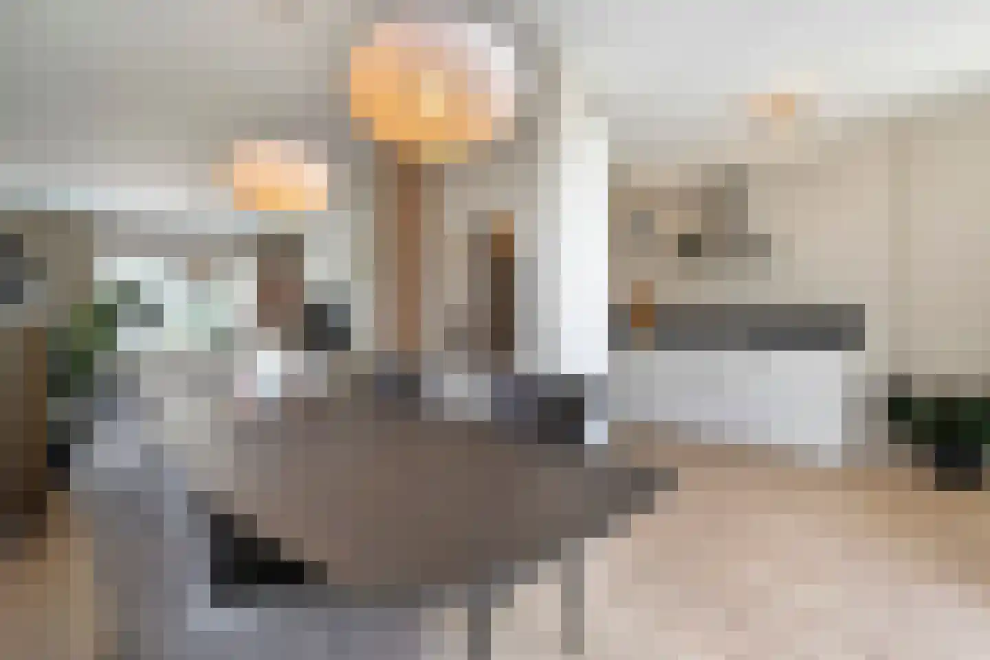 Hanekamp 91 Zwolle thumbnail 8