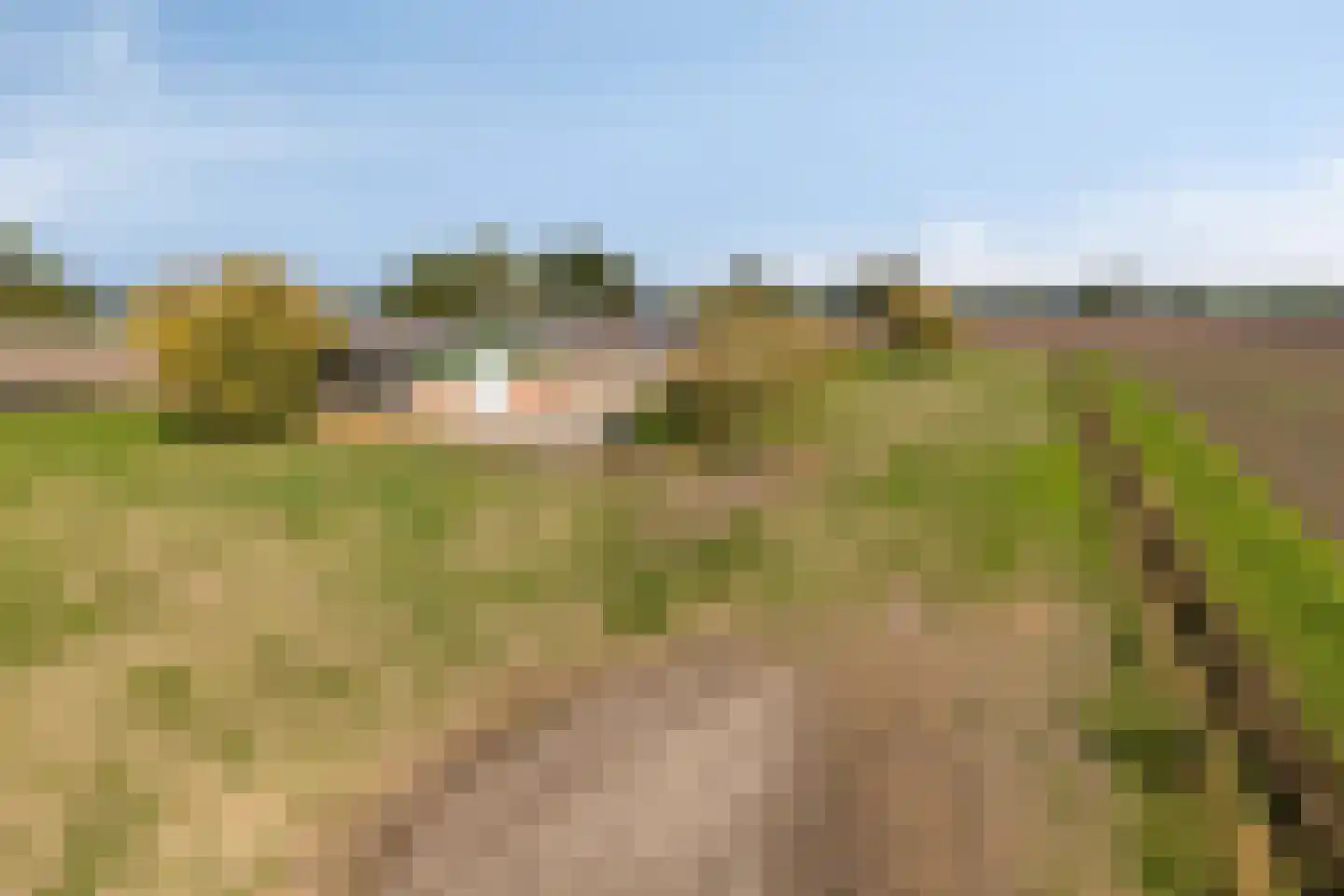 Hanekampseweg 7 Landhorst thumbnail 4