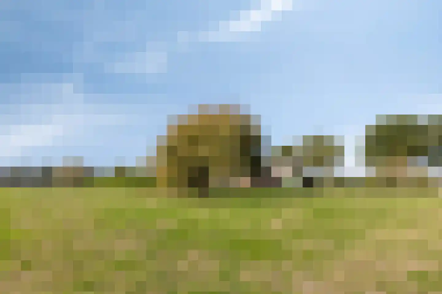 Hanekampseweg 7 Landhorst thumbnail 54
