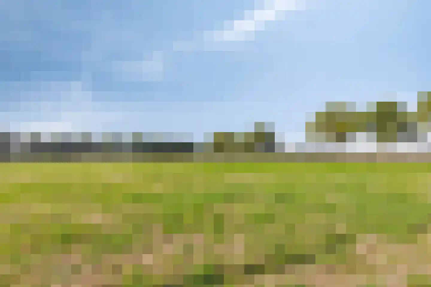 Hanekampseweg 7 Landhorst thumbnail 55