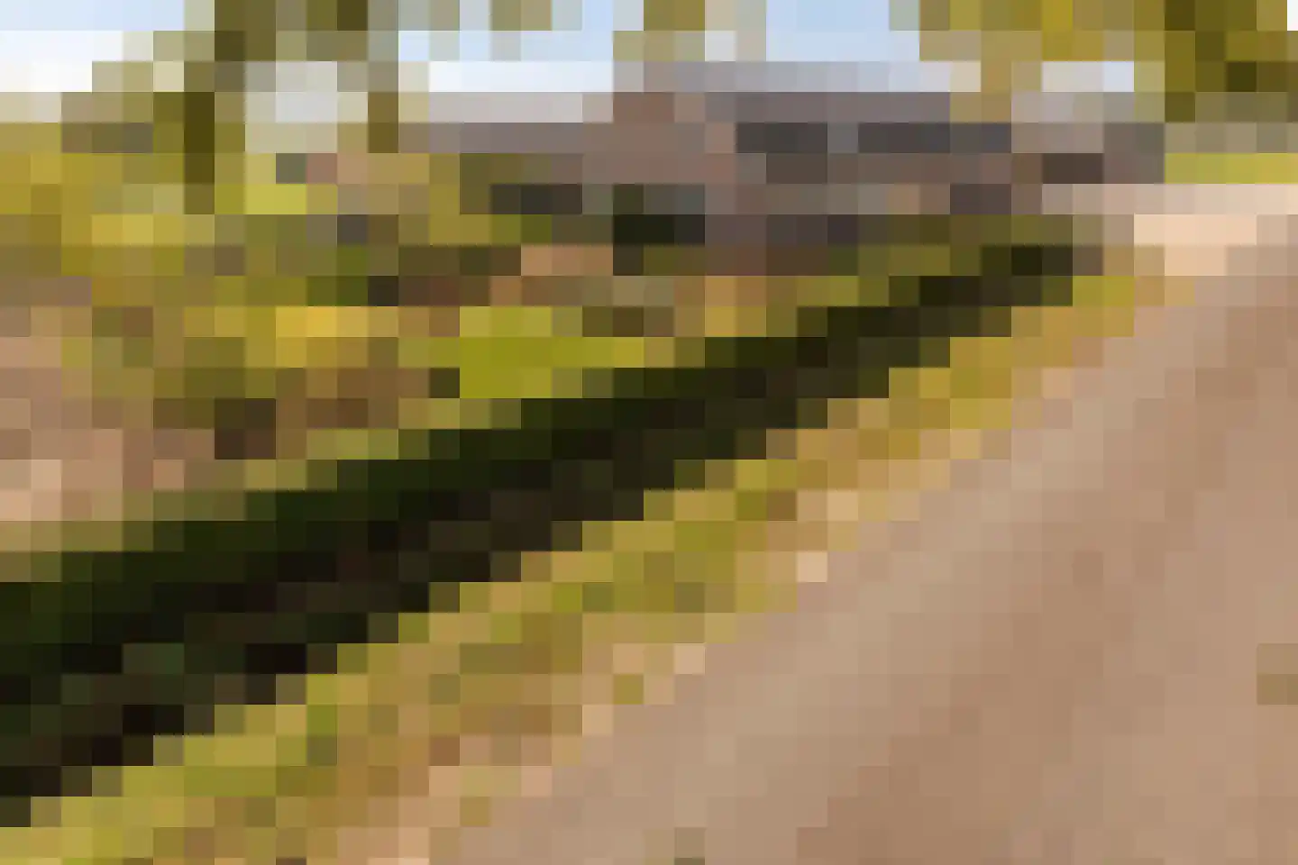Hanekampseweg 7 Landhorst thumbnail 57