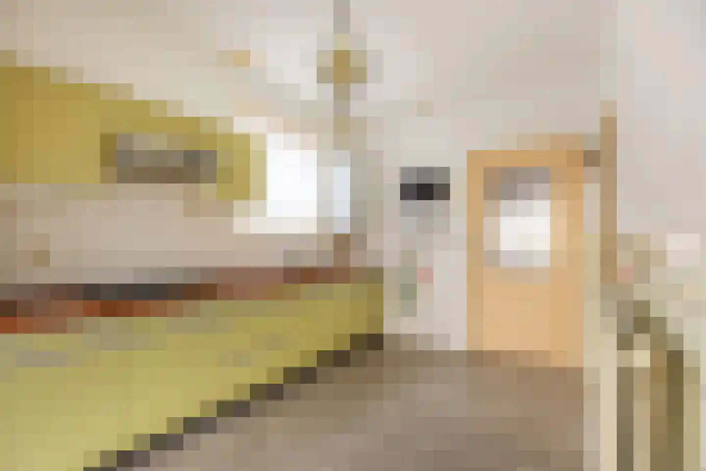 Hanekampswijk 21 Oude Pekela thumbnail 12