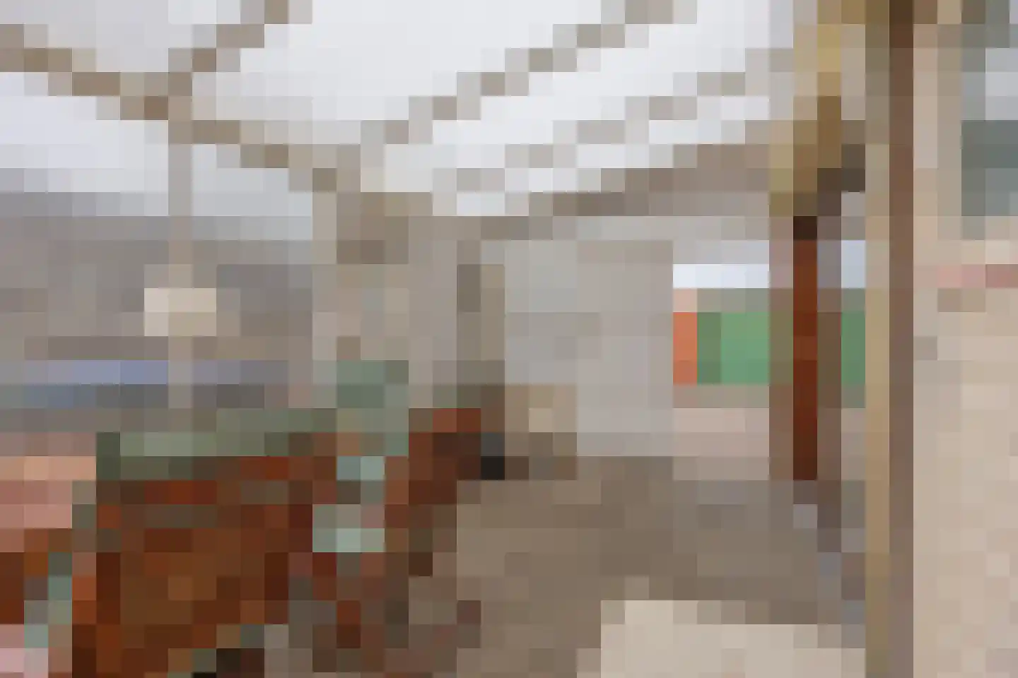 Hanekampswijk 21 Oude Pekela thumbnail 16