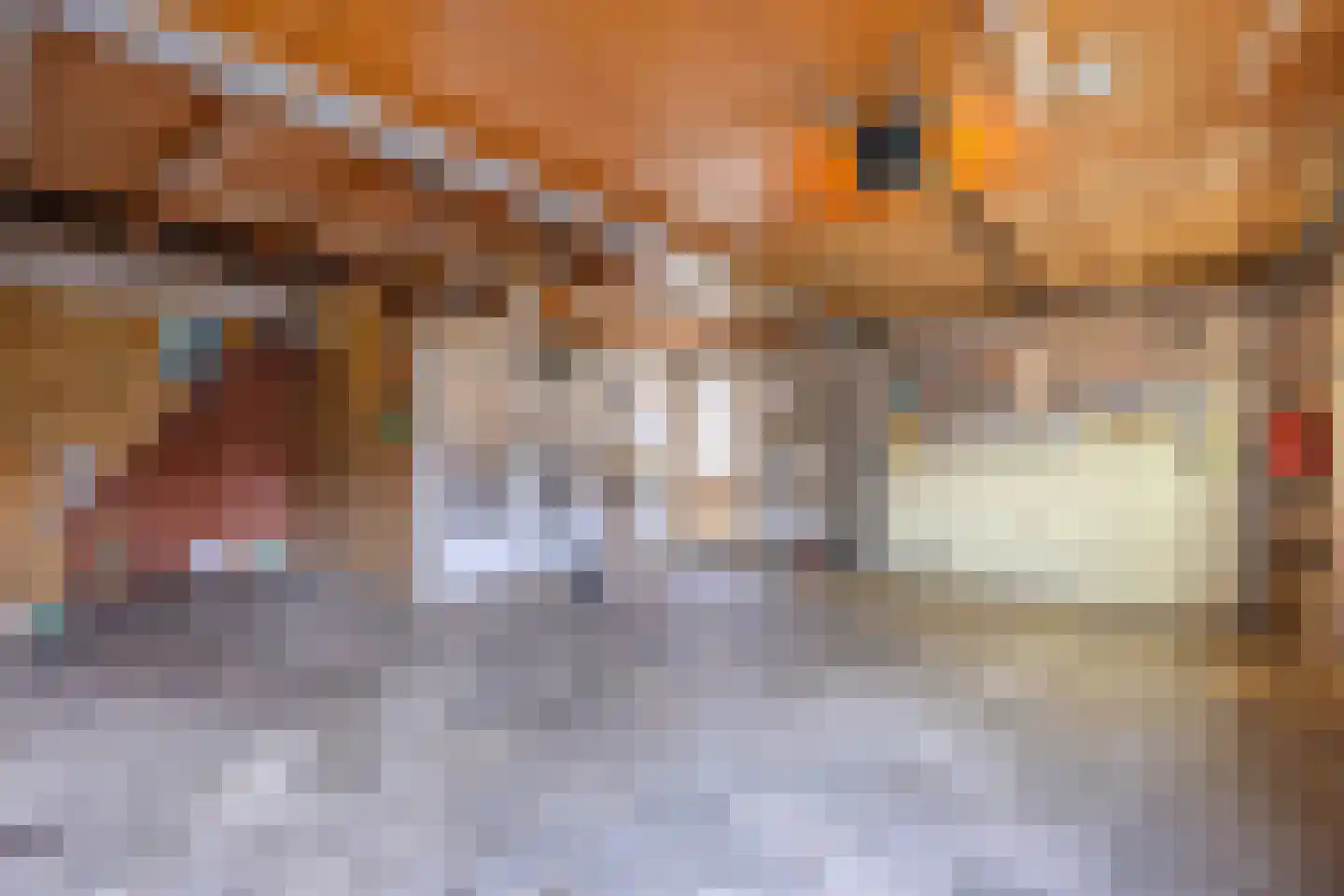 Hanekampswijk 21 Oude Pekela thumbnail 34