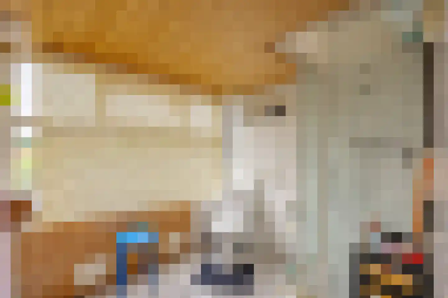 Hanekampswijk 21 Oude Pekela thumbnail 39