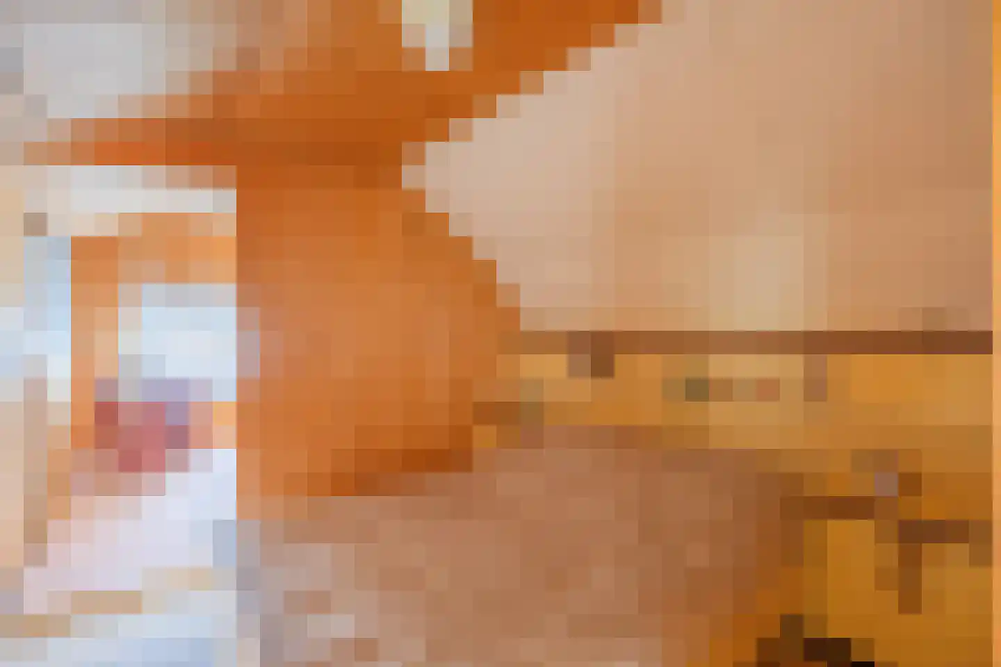 Hanekampswijk 21 Oude Pekela thumbnail 42