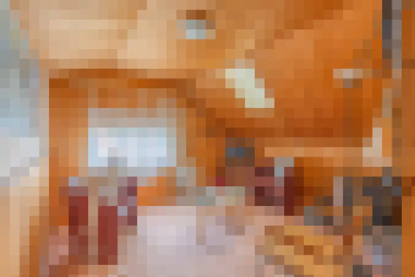 Hanekampswijk 21 Oude Pekela thumbnail 43