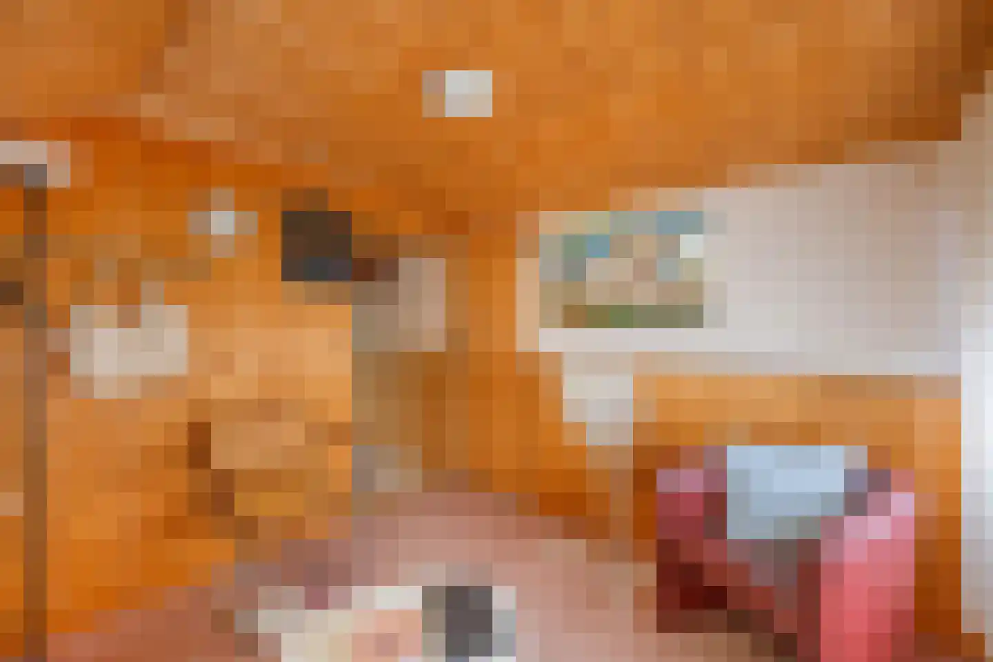 Hanekampswijk 21 Oude Pekela thumbnail 44