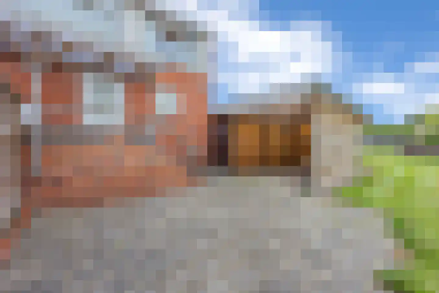Hanekampswijk 21 Oude Pekela thumbnail 47
