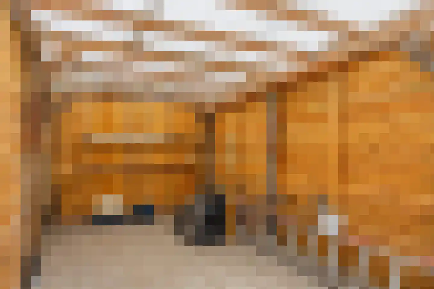 Hanekampswijk 21 Oude Pekela thumbnail 48