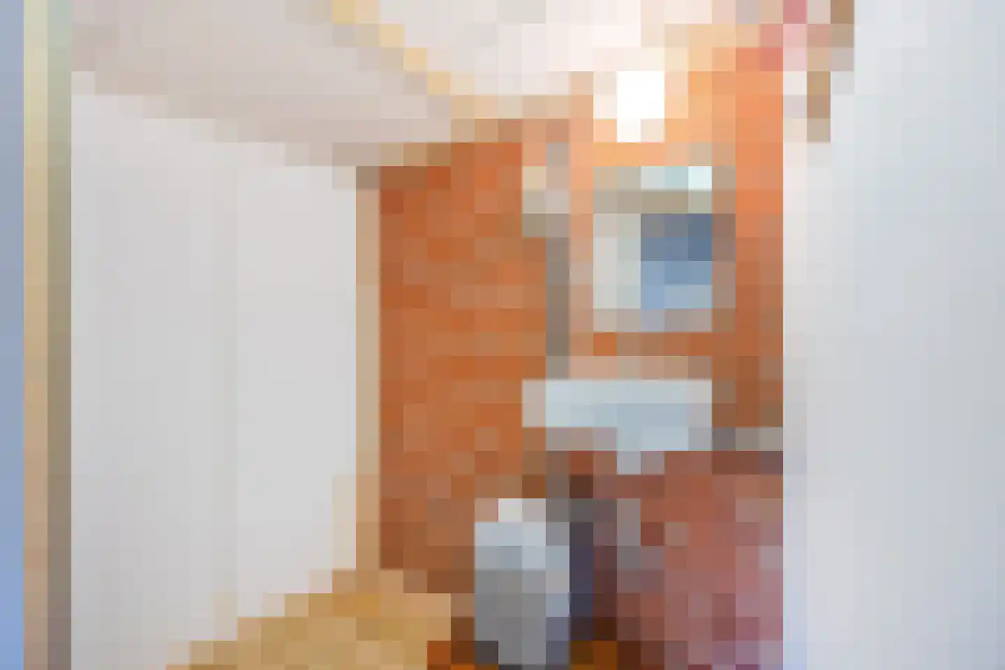Hanekampswijk 21 Oude Pekela thumbnail 59