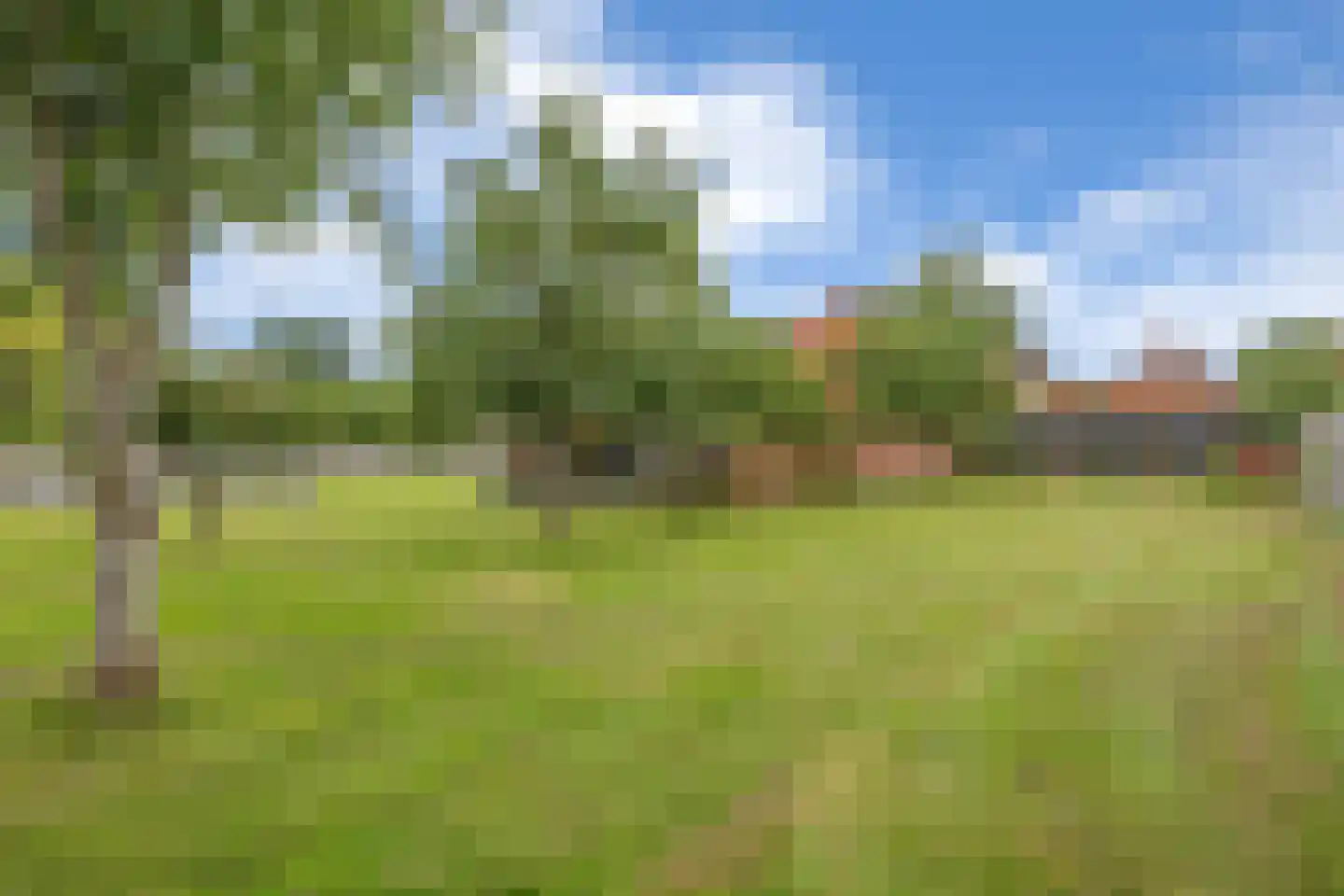 Hanekampswijk 21 Oude Pekela thumbnail 66