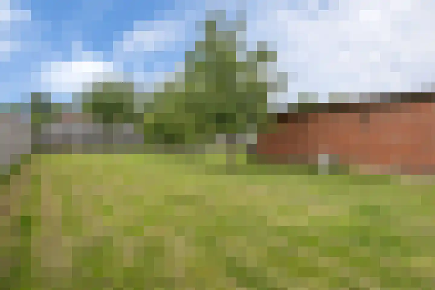 Hanekampswijk 21 Oude Pekela thumbnail 67