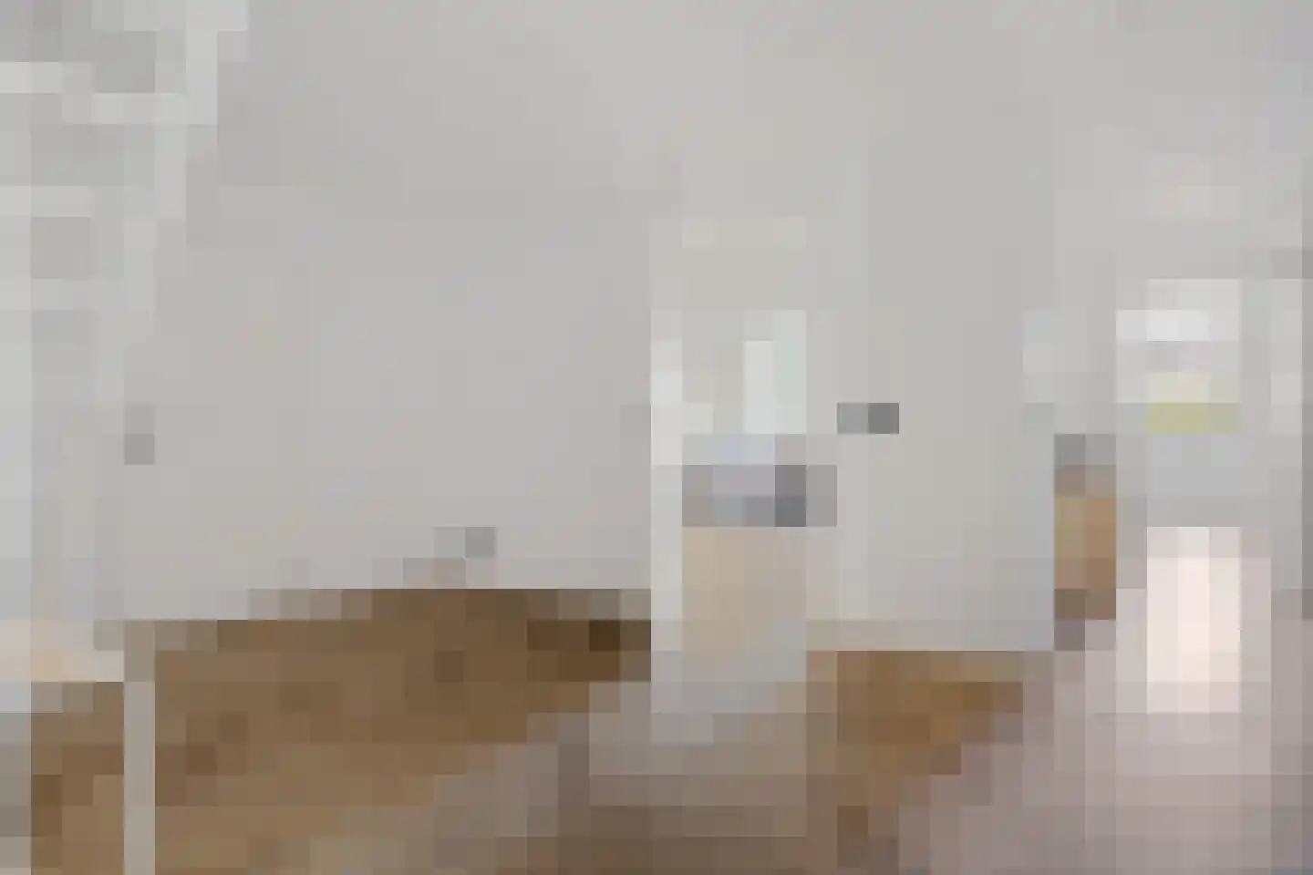 Hanekampswijk 48 Oude Pekela thumbnail 20